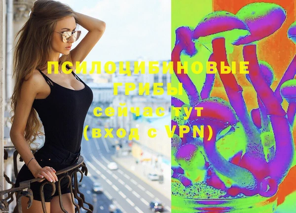 винт Дмитров
