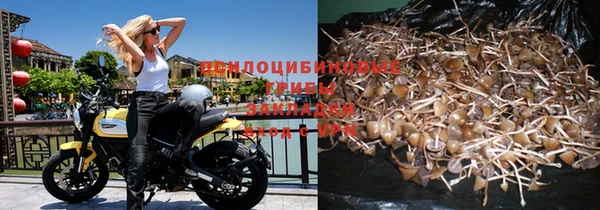 таблы Дмитровск