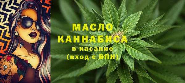 винт Дмитров