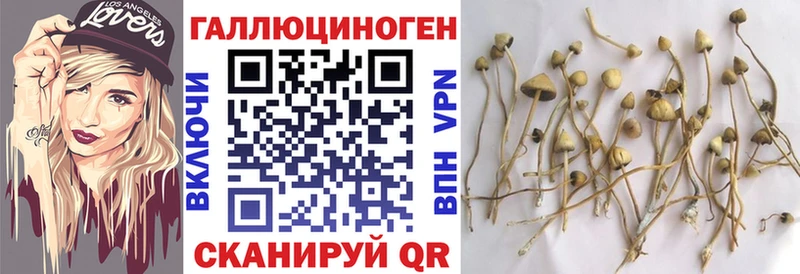 Галлюциногенные грибы GOLDEN TEACHER  Калтан 